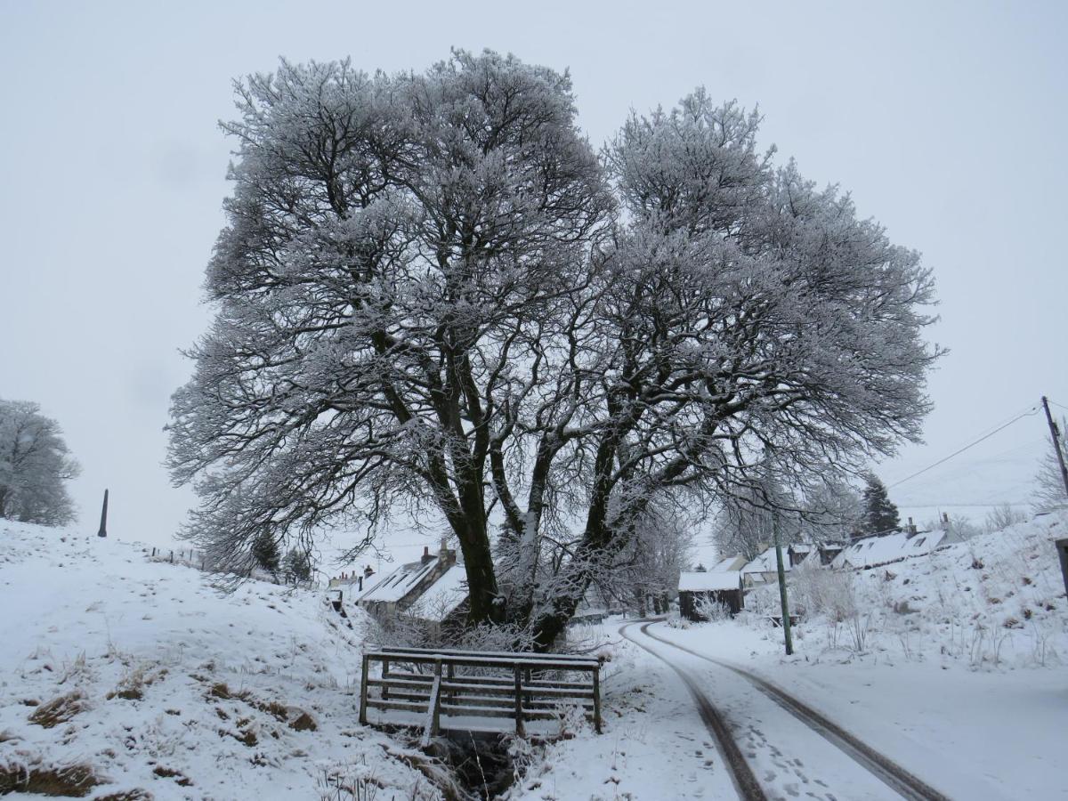 Forget Me Not Cottage Leadhills Bagian luar foto
